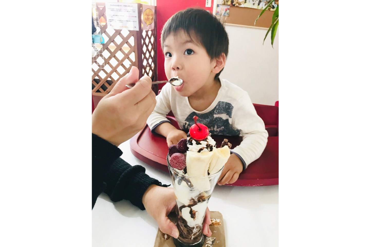 【福岡・中間・動物カフェ】わんちゃんとたっぷり遊ぼう。まんぞくプラン（120分） 写真6
