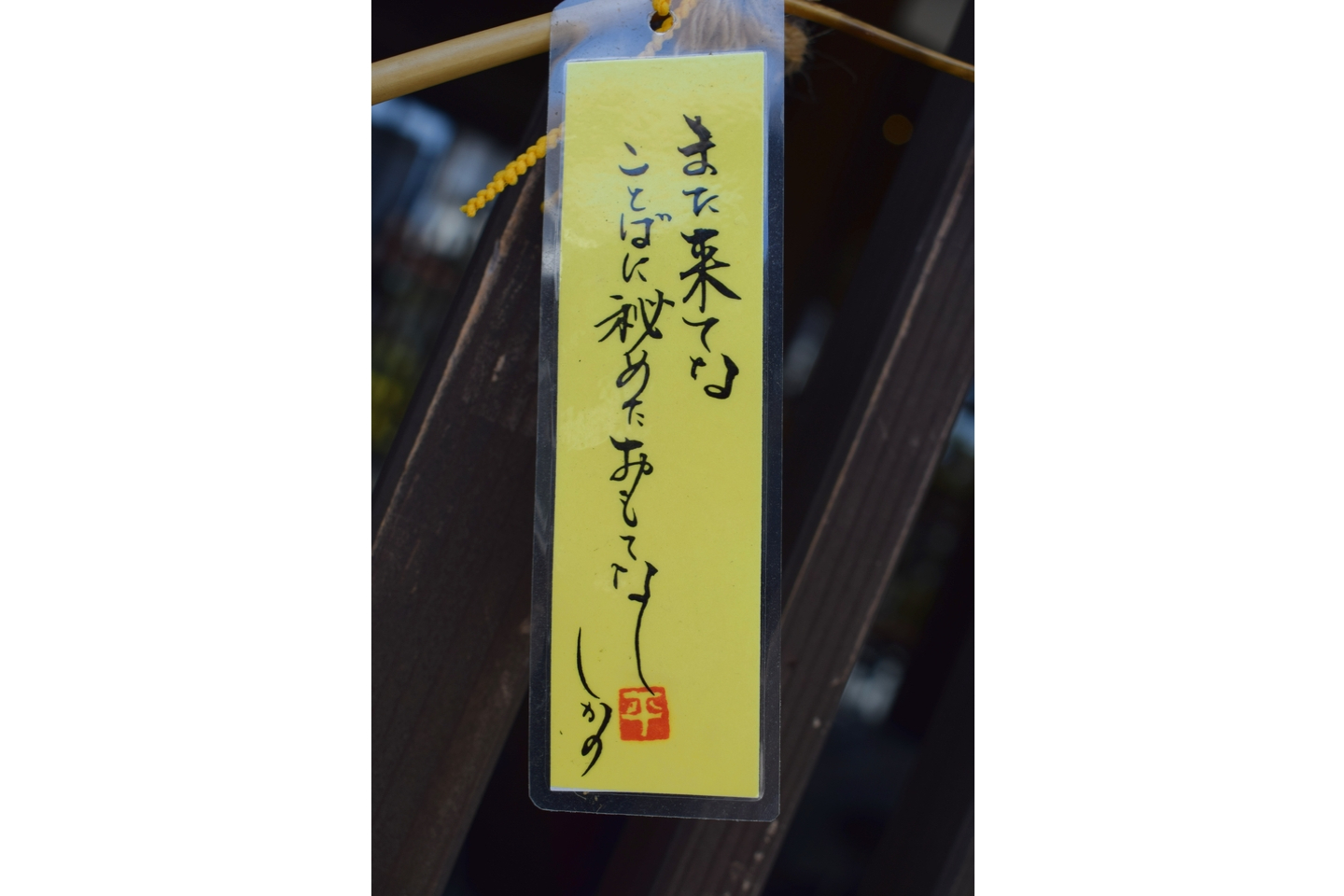 【鳥取県・鳥取市・伝統工芸】旅行の思い出に！鹿野城下町の風車制作プラン（1個） 写真3