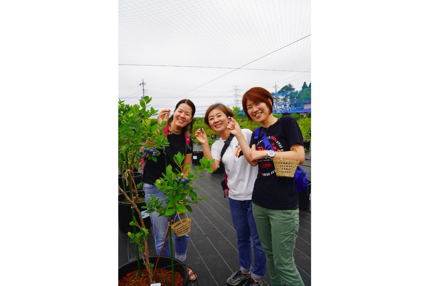 みんトクバナー