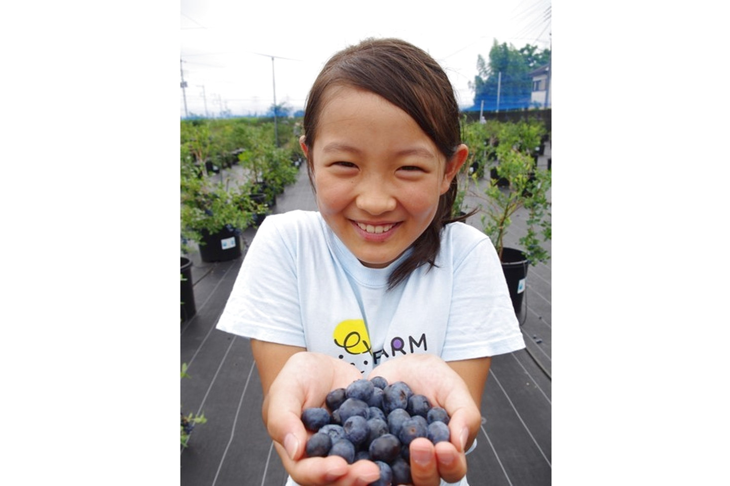 みんトクバナー