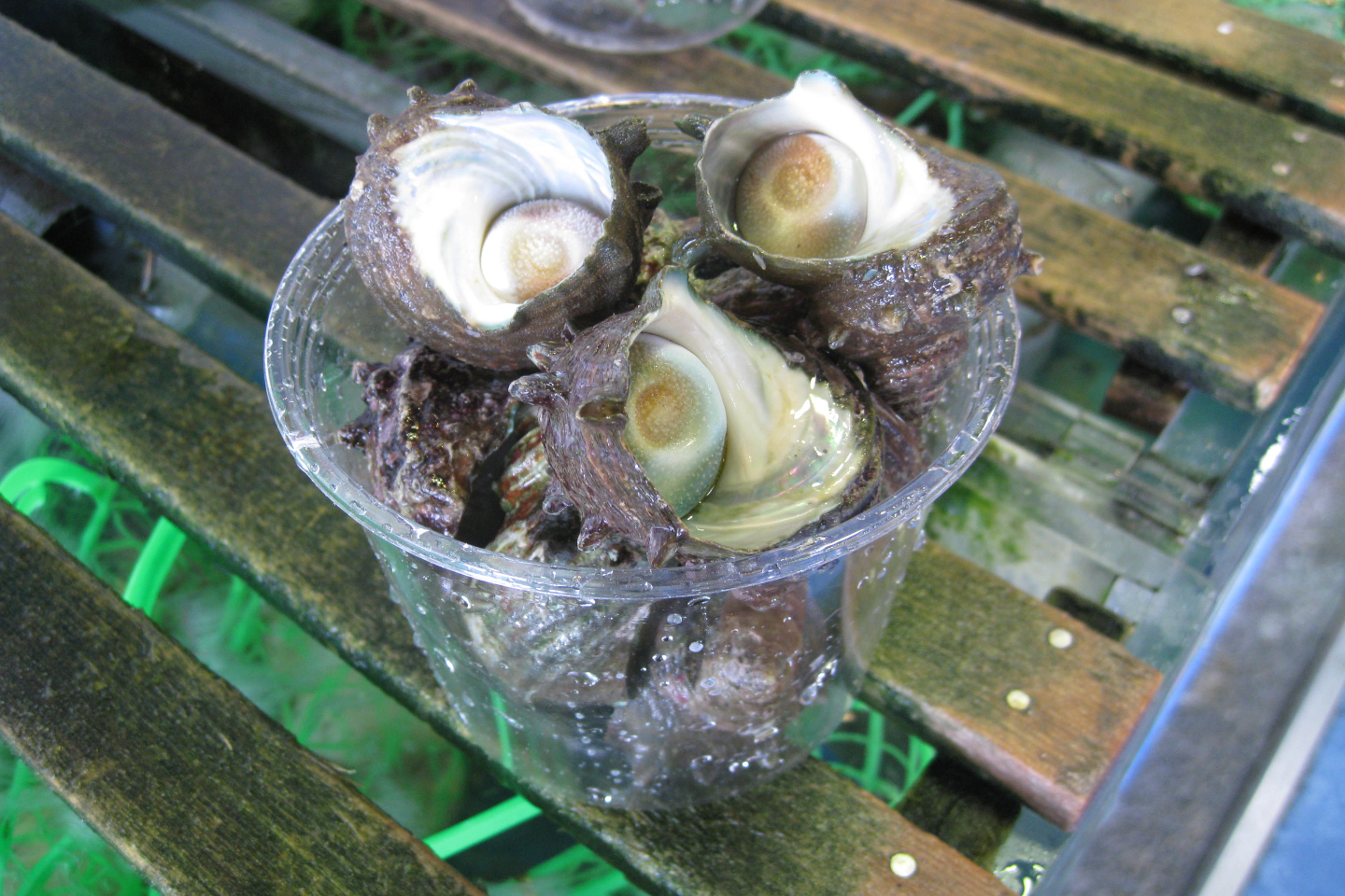 伊勢志摩みやげセンター王将　伊勢店 2枚目