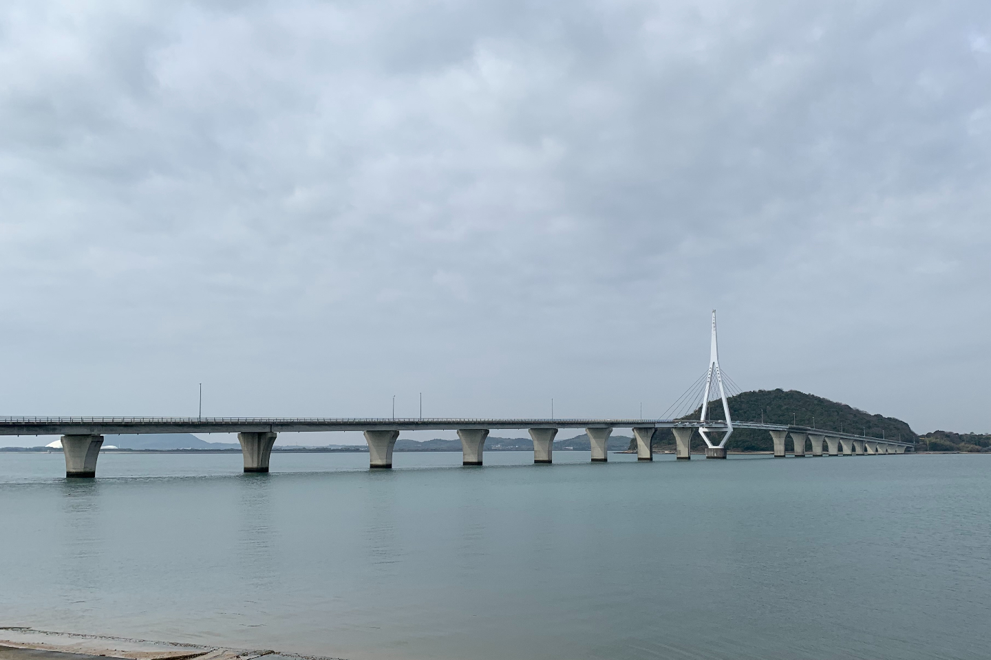 【山口県・山口市・サイクリング】ほぼ42.195km！電動自転車でサイクリング 写真2