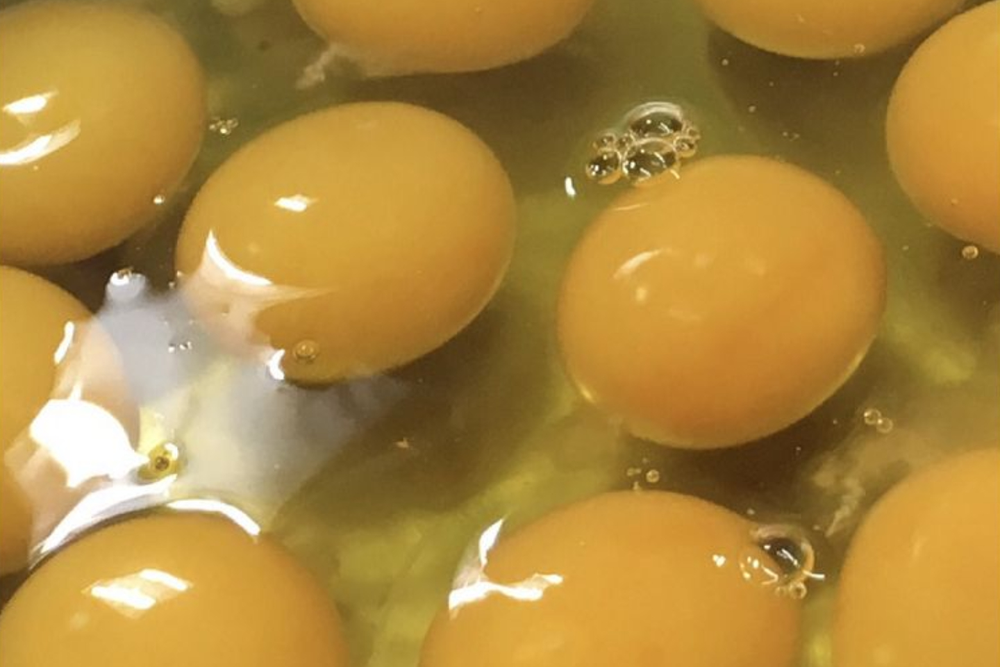 【熊本県・熊本市・お菓子作り教室】採れたての新鮮たまごで「シュークリーム」作り 写真4