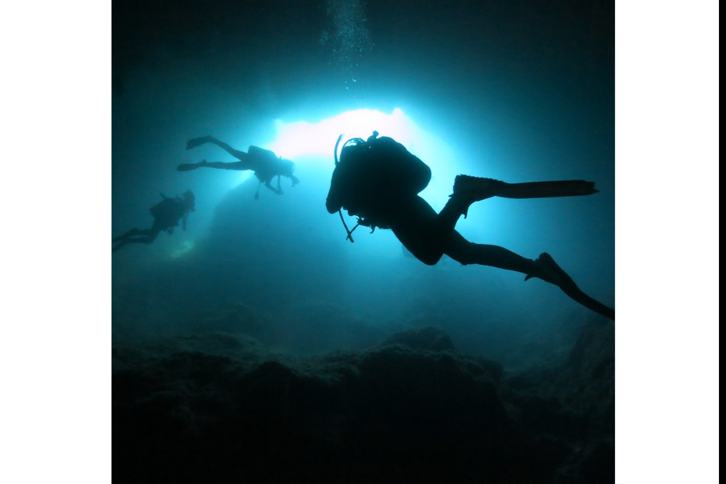 【兵庫・西宮・体験ダイビング】水中での浮遊感を味わおう。体験ダイビングコース 写真6