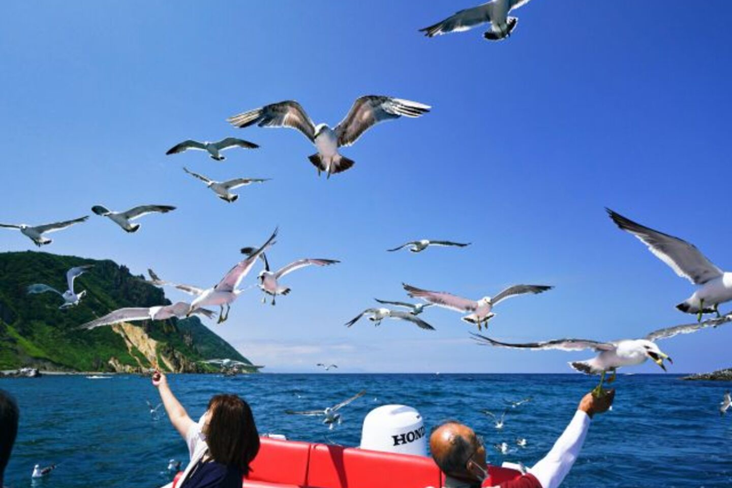 【北海道・小樽・クルージング】わくわくドキドキ！小樽・青の洞窟クルージングコース 写真7