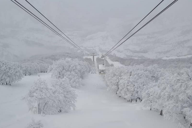 【新潟・南魚沼・ロープウェイ】空中散歩で絶景を満喫！ロープウェー往復乗車プラン 写真4