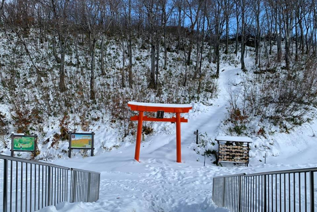 【新潟・南魚沼・ロープウェイ】空中散歩で絶景を満喫！ロープウェー往復乗車プラン 写真3