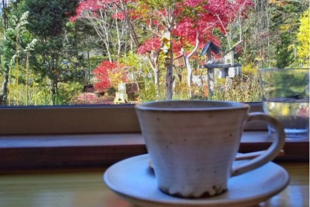 【奈良・宇陀・苔玉作り】全貸切の贅沢空間で苔玉・竹の器を作ろう！（各1個） 写真6