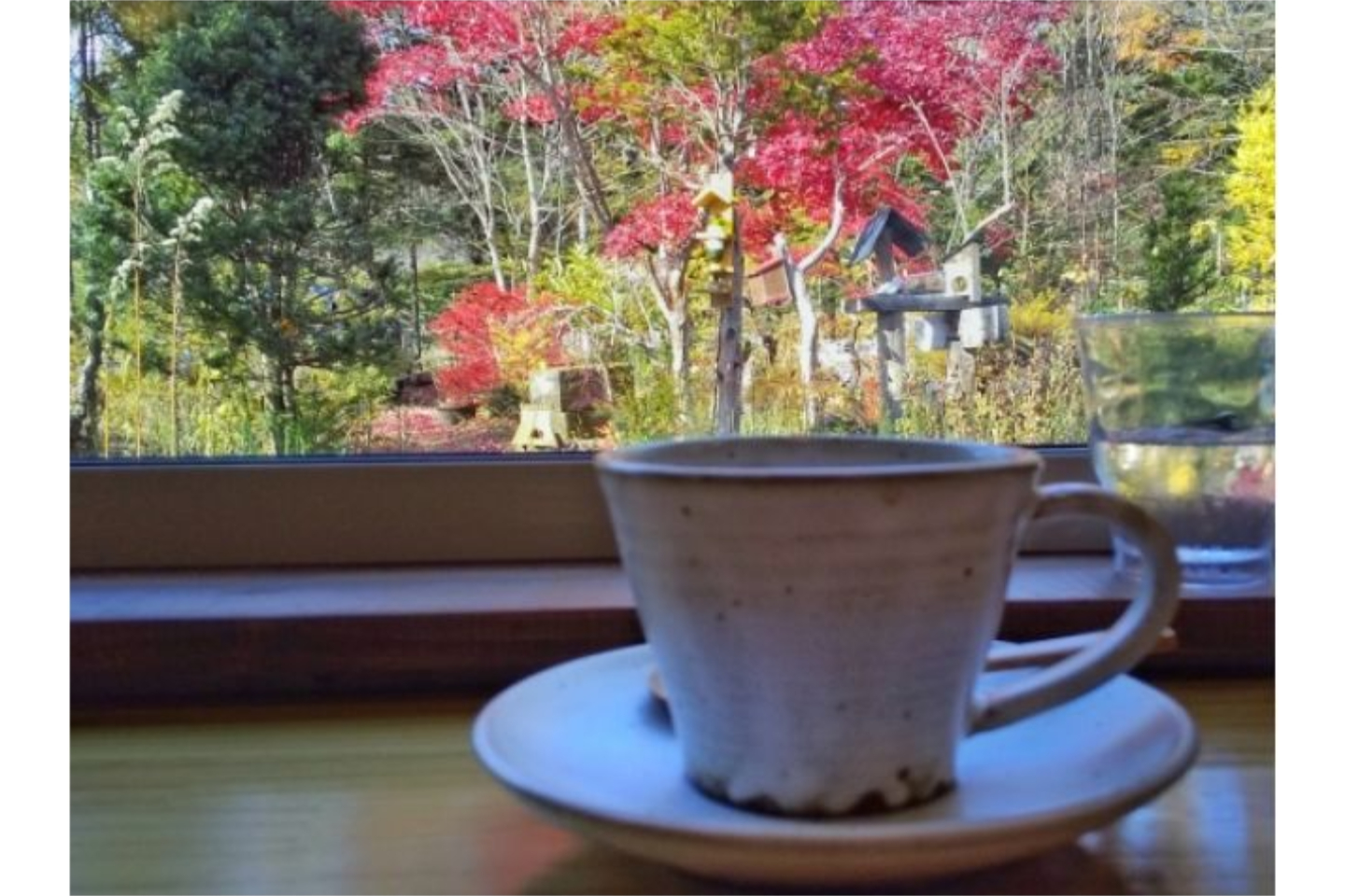 奈良県のbbq バーベキュー ビアガーデンの予約 日本旅行 オプショナルツアー アクティビティ 遊びの体験予約