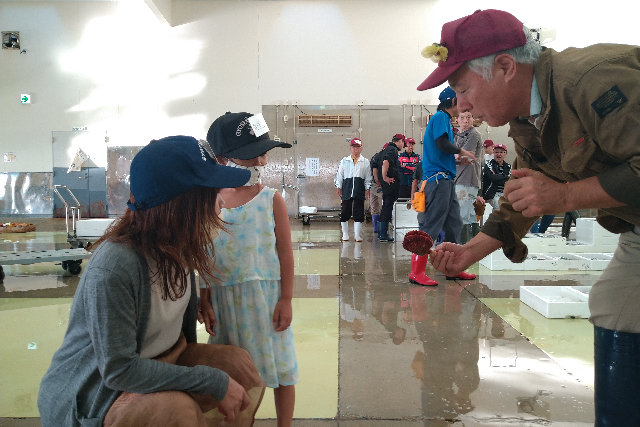 【熊本・天草・魚市場】多種多様な魚介が集まる魚市場はまるで水族館！天草魚市場探検 写真5