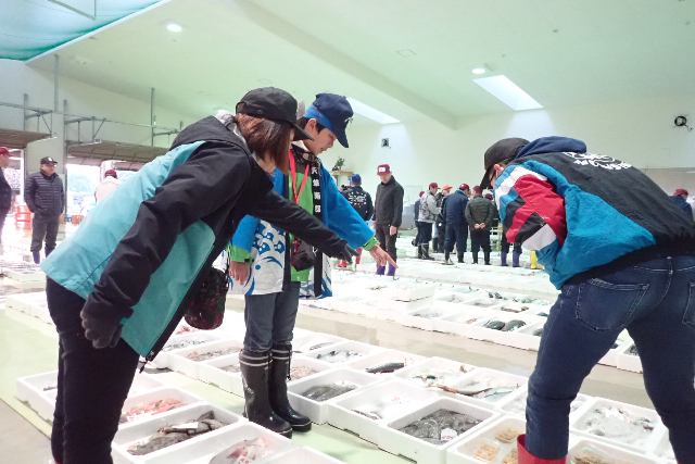 【熊本・天草・魚市場】多種多様な魚介が集まる魚市場はまるで水族館！天草魚市場探検 写真7