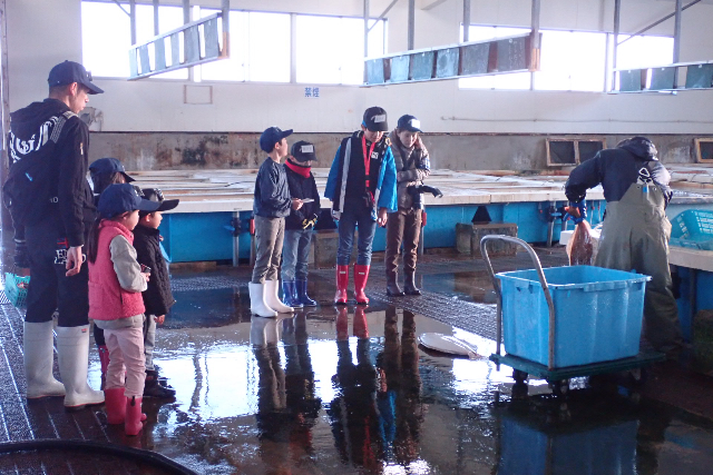 【熊本・天草・魚市場】美味しい朝ごはん付き！たくさんの魚に出会える天草魚市場探検 写真7
