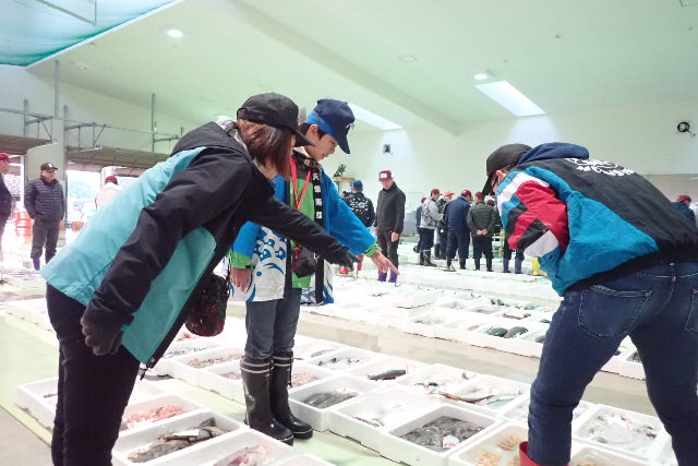 【熊本・天草・魚市場】美味しい朝ごはん付き！たくさんの魚に出会える天草魚市場探検