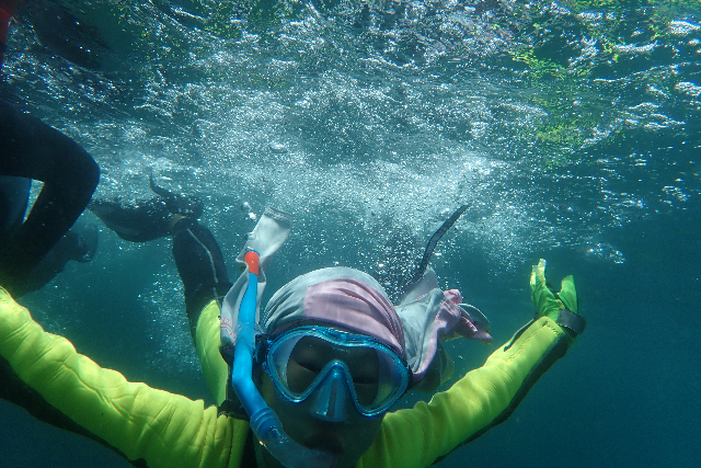 【熊本・天草・海遊び】その日のベストスポットへご案内！遊んで学べる海体験 写真4