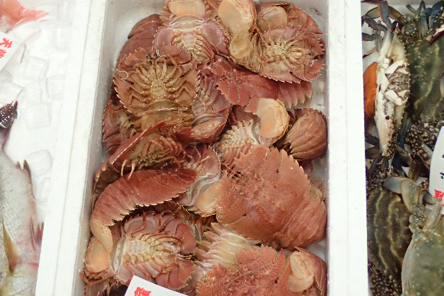 【熊本・天草・海遊び】その日のベストスポットへご案内！遊んで学べる海体験 写真8