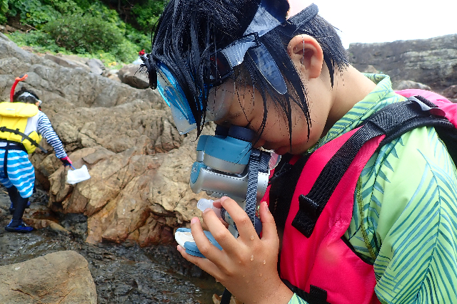【熊本・天草・海遊び】その日のベストスポットへご案内！遊んで学べる海体験 写真5