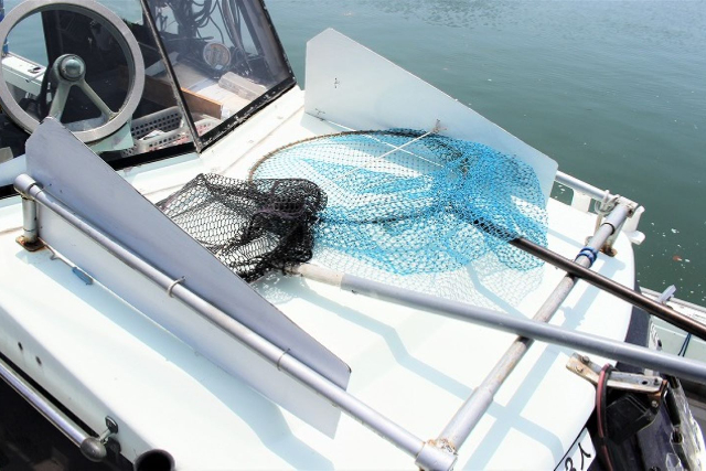 【鹿児島・錦江湾・船釣り】船釣り歴35年の船長と楽しもう！錦江湾でえさ釣り体験 写真4