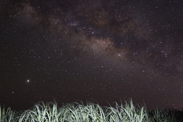 【沖縄・石垣島・天体観測】石垣島の満天の星空観察＆島唄三線鑑賞！ 写真3
