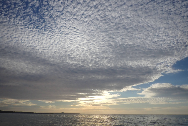 【沖縄・今帰仁・シーカヤック】海に沈む夕日を眺めよう！サンセットクルージング 写真3