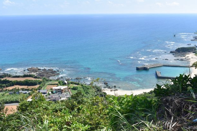 【鹿児島・奄美大島・レンタサイクル】快適電動アシスト付！レンタサイクル1日プラン 写真2