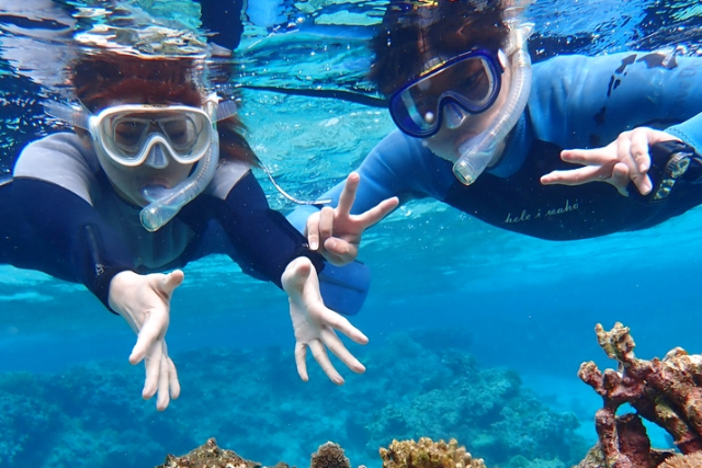 【沖縄・宮古島・シュノーケリング】海の生き物を観察！ビーチシュノーケリングツアー 写真5