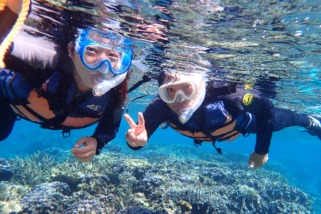 【沖縄・宮古島・シュノーケリング】海の生き物を観察！ビーチシュノーケリングツアー 写真8