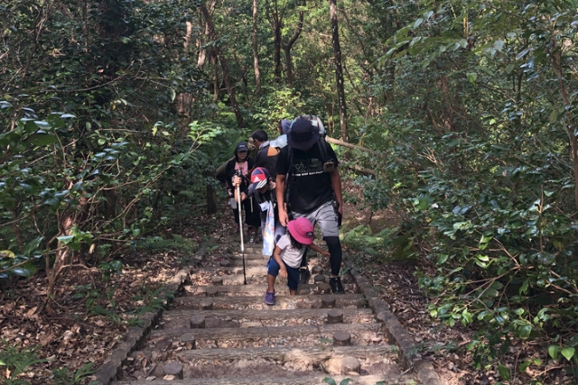 【沖縄・国頭村・トレッキング】親子一緒に楽しめる！森林公園をトレイルウォーク 写真4