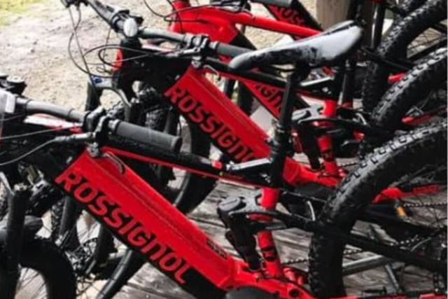 【岐阜・郡上・サイクリング】E‐BIKEで楽々！ファンライドプライベートプラン 写真2