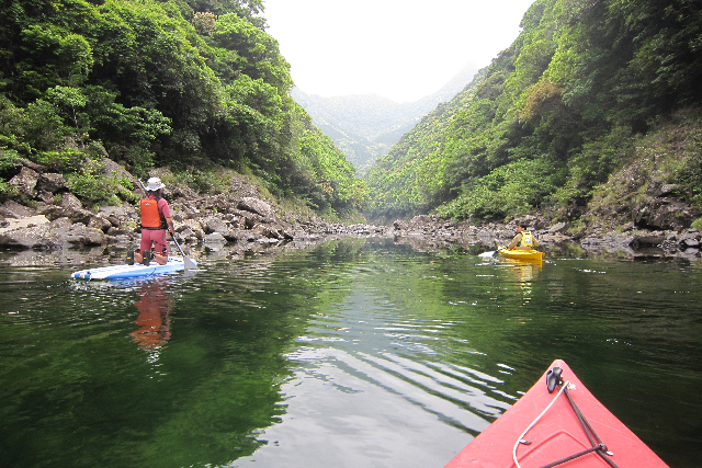 【鹿児島・屋久島・SUP】屋久島の川でSUP＆リバーカヤックを楽しもう！ 写真3