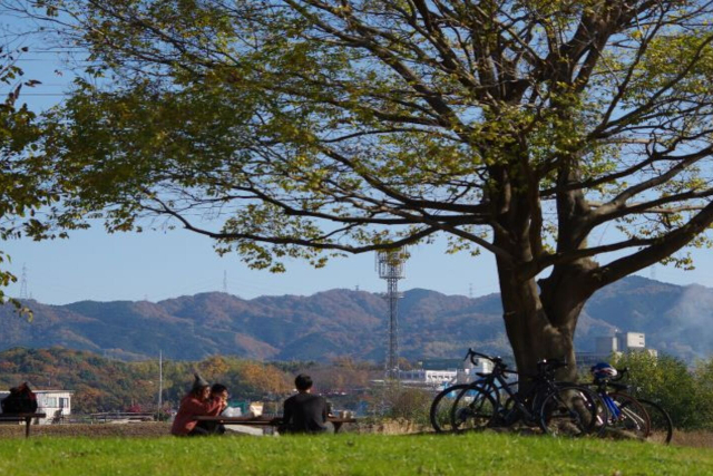 【大阪・柏原・サイクリング】世界遺産の古墳群や自然を巡る貸切サイクリングツアー 写真6