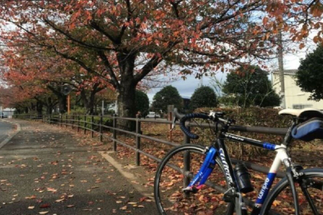 【大阪・柏原・サイクリング】世界遺産の古墳群や自然を巡る貸切サイクリングツアー 写真8