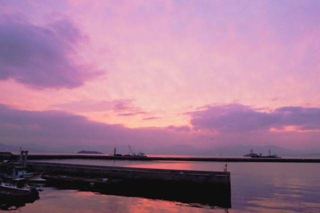【やっぱ広島じゃ割(地域観光支援分)適用プラン｜広島市・カヤック】無人島へGO！似島でカヤックを満喫しよう（3～4時間） 写真7