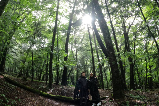 【山梨・鳴沢・ガイドツアー】富士山が育んだ神秘の森を歩こう。樹海＆原生林ツアー 写真5