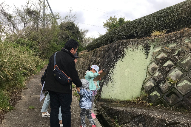 【京都・和束・ウォーキング】親子で挑戦！なぞ解き茶畑ウォークラリー☆プレゼント付き 写真4