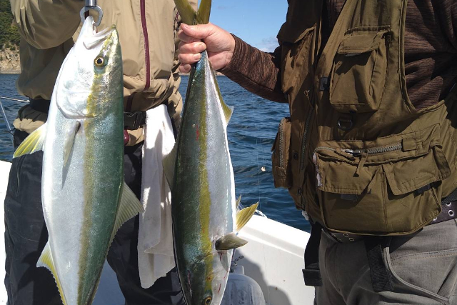 【山口・周防大島・船釣り】漁師が案内する遊漁船を仲間と貸切！チャーター貸切プラン