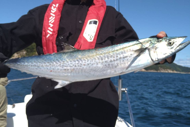 【山口・周防大島・船釣り】漁師が案内する遊漁船を仲間と貸切！チャーター貸切プラン 写真2