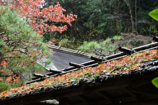 【神奈川・鎌倉・写真教室】きもの姿で鎌倉を満喫！きもの着付け体験＆フォトレッスン 写真2