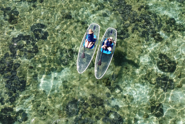 【沖縄・本部・SUP】透明なボードで遊ぼう！クリアSUP体験たっぷり60分コース 写真5