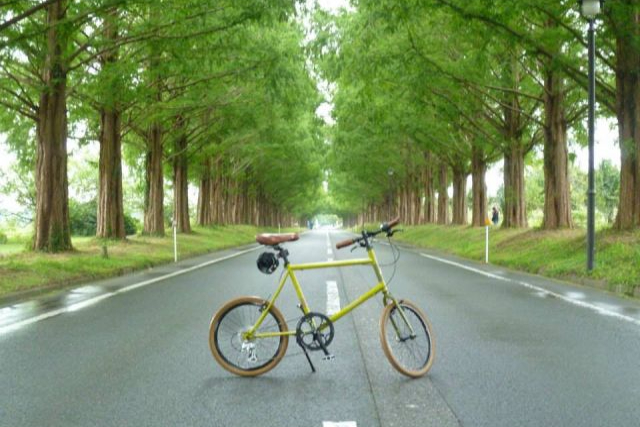 【滋賀・近江高島・レンタサイクル】人気スポットへらくらく移動！1日レンタサイクル 写真5