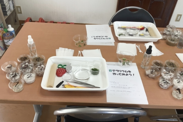 【高知・佐川・テラリウム】お部屋の一角から広がる癒しの世界！苔テラリウム制作（1個） 写真5