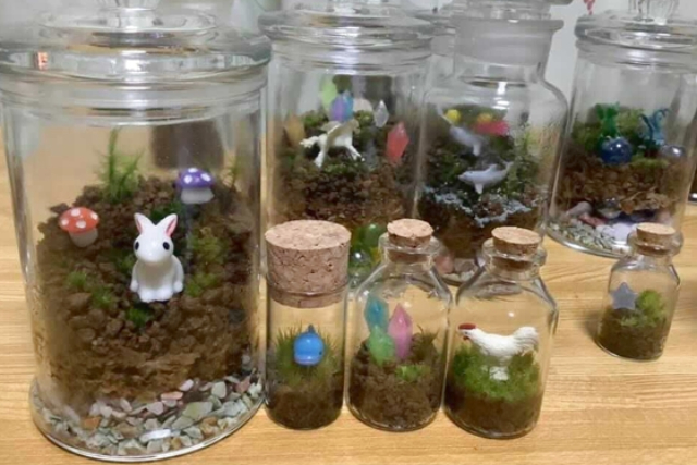 【高知・佐川・テラリウム】お部屋の一角から広がる癒しの世界！苔テラリウム制作（1個） 写真4