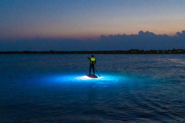 【高知・奈半利・SUP】ガイドと一緒に幻想的な海へ出かけよう！ナイトSUP体験 写真4