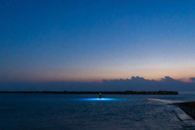 【高知・奈半利・SUP】ガイドと一緒に幻想的な海へ出かけよう！ナイトSUP体験 写真5