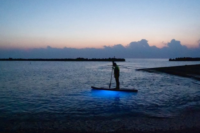 【高知・奈半利・SUP】ガイドと一緒に幻想的な海へ出かけよう！ナイトSUP体験 写真3