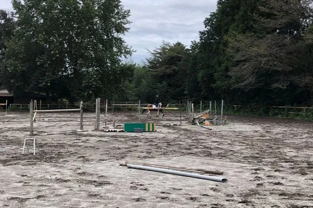【栃木・高根沢・乗馬体験】サクッと気軽に馬と触れ合おう！乗馬体験15分プラン 写真5