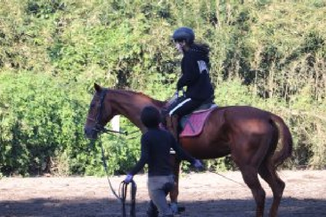 【栃木・高根沢・乗馬体験】馬と2人きりで自由に楽しむ！乗馬体験45分（指導なし） 写真4