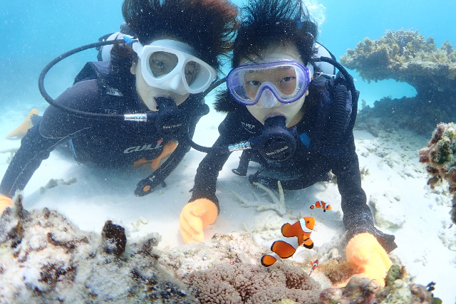 【沖縄・石垣島・体験ダイビング】幻の島＆体験ダイビング＆シュノーケリング（1日） 写真7
