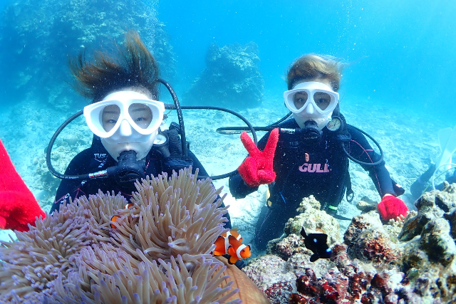 【沖縄・石垣島・体験ダイビング】体験ダイビング＆ウミガメシュノーケリング（午後） 写真3