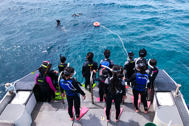 【沖縄・慶良間諸島・クルージング】シュノーケリングもできる！半日貸切クルージング 写真7