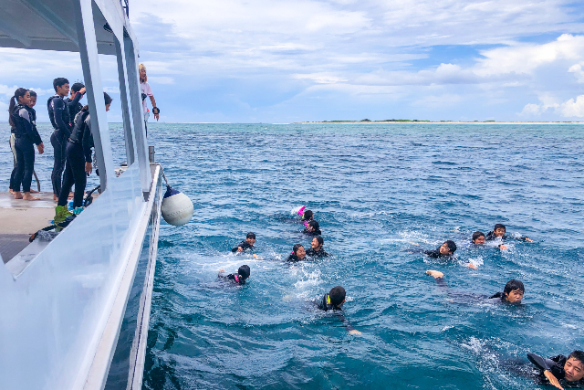 【沖縄・慶良間諸島・クルージング】シュノーケリングもできる！半日貸切クルージング 写真8